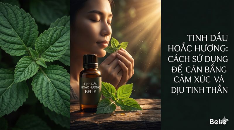 Tinh dầu Hoắc Hương: Cách sử dụng để cân bằng cảm xúc và làm dịu tinh thần