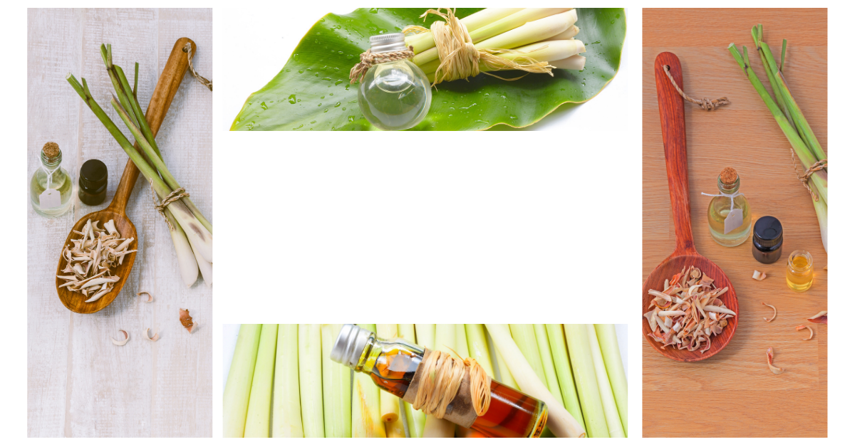 Tinh Dầu Belie 100% Thiên Nhiên